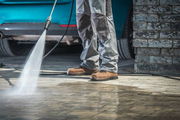 Best Sidewalk and Walkway Cleaning  in Lenexa, KS
