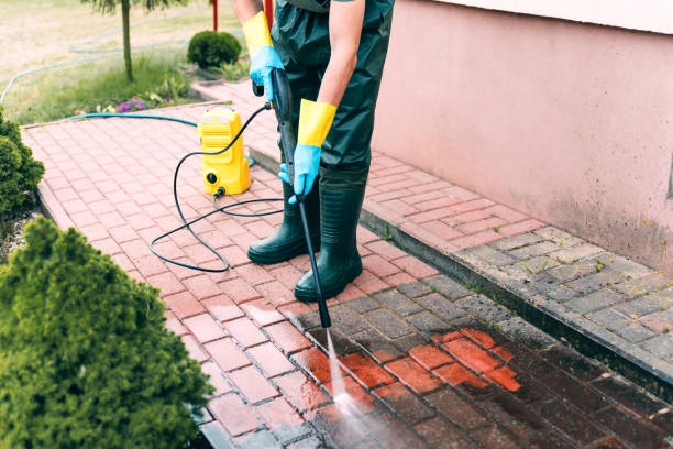 Best Driveway Pressure Washing  in Lenexa, KS